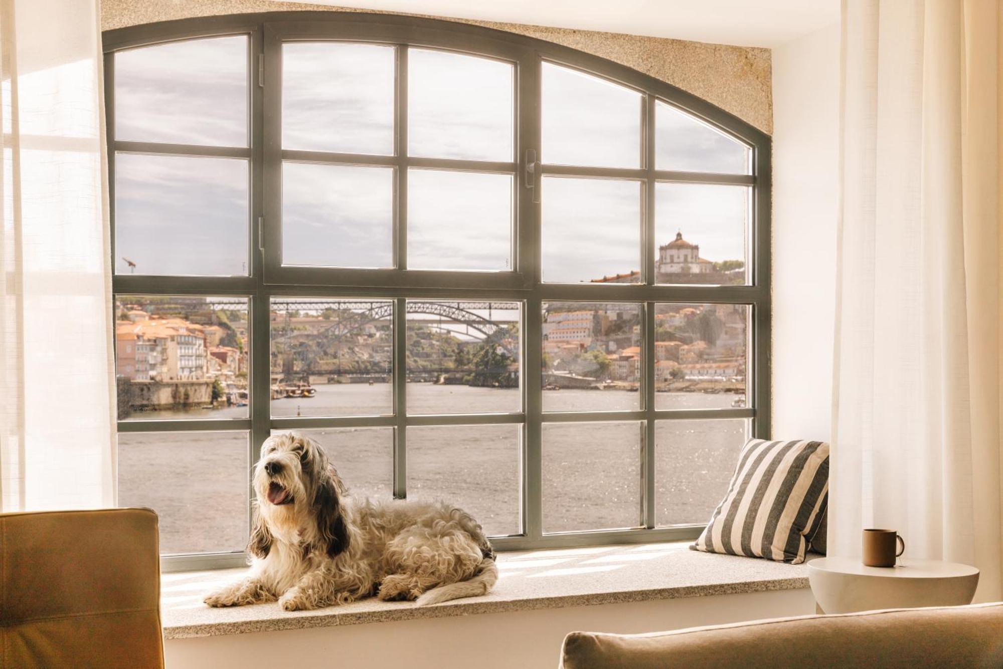 The Rebello Hotel & Spa - Small Luxury Hotels Of The World Vila Nova de Gaia Exterior foto A window with a dog